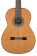 C9, Nylon String Acoustic Guitar- Cedar