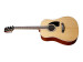 PF15-NT Guitare folk