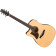 AAD170LCELGS Advanced Acoustic Left Natural Low Gloss Ibanez