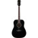 PF15-BK guitare acoustique folk dreadnought noire