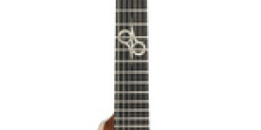 Vente Solar Guitars V1.6AAN