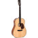 Special Edition SDM-18S guitare acoustique folk D-12 avec étui souple
