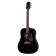 E1 STARLING ACOUSTIC GUITAR PLAYER PACK EBONY