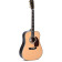 SDR-45 guitare acoustique folk avec housse
