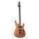 Ibanez  S521 Mol Guitare lectrique