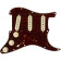 PRE-WIRED STRAT PICKGUARD, TEX-MEX SSS, TORTOISE SHELL 11 HOLE PG