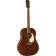 JD Dreadnought Delto MAH WPG FRSTN - Guitare Acoustique