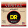 Veritas Acoustic Bluegrass 12-56