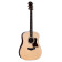 Legacy 810e - Guitare Acoustique