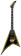 MJ Series Rhoads RR24MG BK