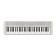 Casio CT-S1WE CASIOTONE Piano-Keyboard avec 61 touches  frappe dynamique, blanc