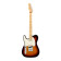 Fender Player Telecaster Guitare lectrique rable Sunburst 3 couleurs.