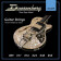 DSA09 09-50 Guitar Strings Nickel Wound - Cordes pour Guitare Électrique