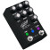 Bloom Midi Black Jackson Audio