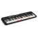 LK-S250 Casiotone Black clavier 61 touches