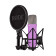 NT1 Signature Series Purple - Microphone à condensateur à grand diaphragme