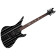 Synyster Gates Standard Floyd Black