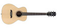 Alvarez RS26 Guitare acoustique Folk/Om