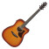 Ibanez AAD50CE-LBS Light Brown Sunburst Low Gloss - Guitare Acoustique