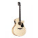 Violet Gc-SM Master's Choice - Guitare Acoustique