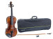 GEWA Allegro VL 1-4/4 Ensemble de violon prt  jouer avec tui pour violon, rable europen massif et pica, peint  la main, archet Massaranduba, cordes Larsen Aurora