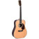 DT-42 - Guitare Acoustique