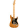 American Professional II Stratocaster HSS Roasted Pine MN guitare électrique avec étui