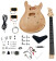 Electric Guitar Kit CST-24