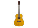 Guitare TransAcoustic™ FS-TA - Vintage