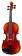 Allegro Violin Set 4/4 SC MB