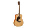 GFG820LNT natural gaucher