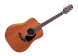 GD11M NS Takamine