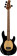 Pete Wentz Signature Bass