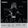 KV310 4/4L - Kaplan Vivo Jeu Cordes Violon 4/4 Light