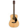 CC-60S Concert (Natural) - Guitare Acoustique