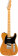 American Pro II Telecaster MN Roasted Pine