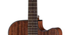 Vente Ibanez AW54CE-OPN