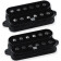 HUMBUCKER DUALITY KIT DUALITY, NOIR