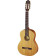 Family Series Pro R131L guitare classique pour gaucher avec housse