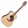 Takamine GD93N2 Natural Gloss - Guitare Acoustique