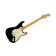 American Professional II Stratocaster MN Black Fender