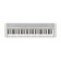 CT-S1 WH - Clavier