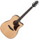 ADVANCED ACOUSTIC AAD170CE NATURAL LOW GLOSS