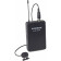 SAMSON LM8 - Omnidirectional Lavalier Microphone with a Miniature Condenser Min Capsule - Black