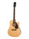 AJ-210CE Outfit - Guitare Acoustique