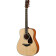 FG800MNTII - Guitare folk dread T massiv