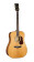 Cort Gold D6 Western Guitar