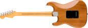 American Professional II Stratocaster Roasted Pine Maple