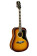 EKO Guitars 06217128 Ranger VI Dreadnought Honey Burst.