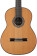 Cordoba Srie Luthier C10 CD - Guitare classique (+ tui)
